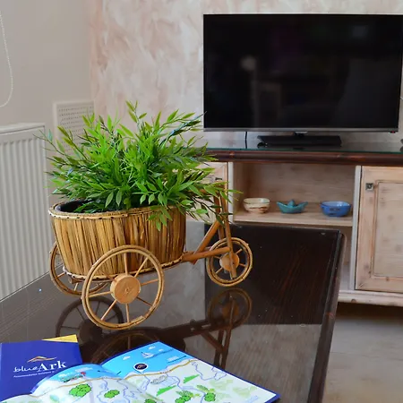 Blue Ark Flat & アパート *