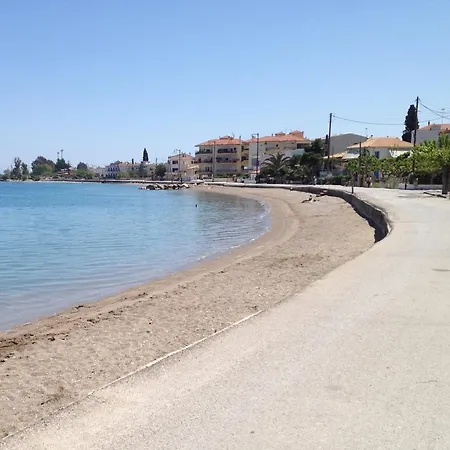 Blue Ark Flat & Lejlighed