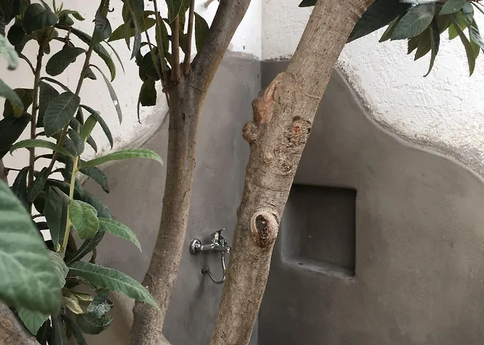 Blue Ark Flat & Appartement Aigeira